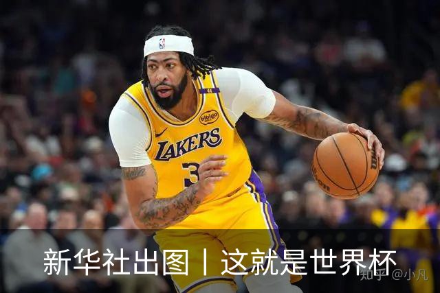 新华社出图丨这就是世界杯